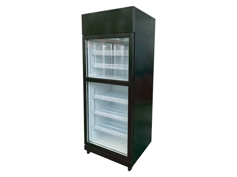 Dual-temperature upright fridge